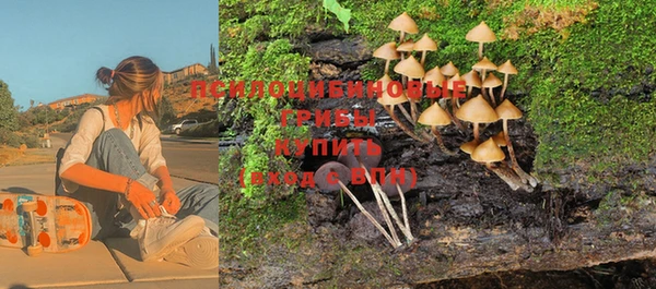 ГАЛЛЮЦИНОГЕННЫЕ ГРИБЫ Карталы